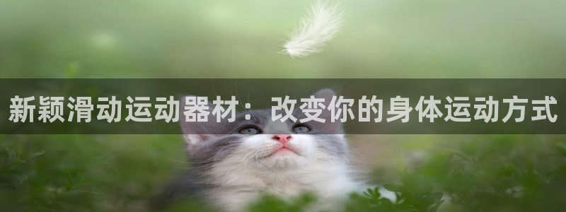 好博体育官网下载平台注册要钱吗：新颖滑动运动器材：改