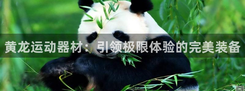 好博体育官方正版app集团logo：黄龙运动器材：引