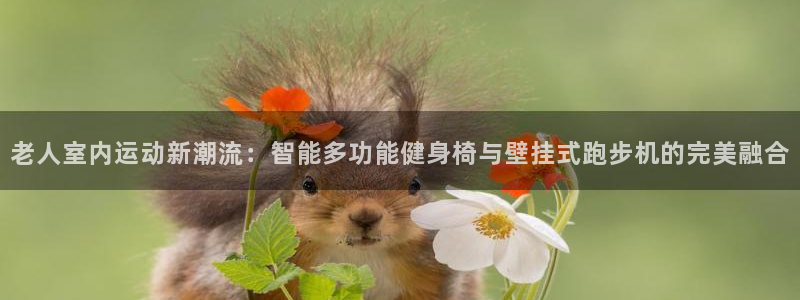 好博体育官方正版app集团官网首页：老人室内运动新潮流：智能