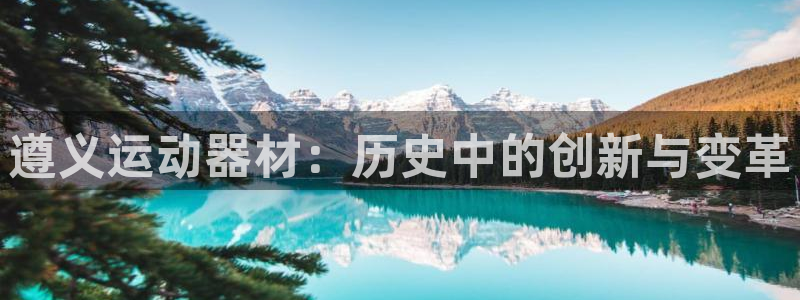 好博体育官方正版app集团logo：遵义运动器材：历史中的创