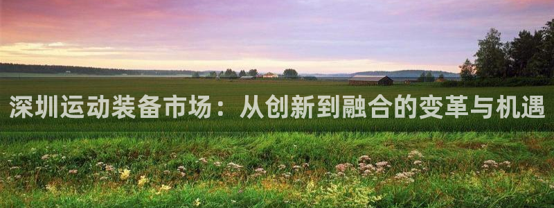 好博体育官方正版app集团官网首页：深圳运动装备市场：从创新