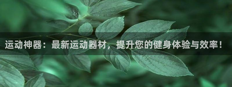 好博体育官网下载平台注册要钱吗安全吗：运动神器：最新运动器材