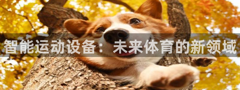 好博体育官网下载招商电话地址：智能运动设备：未来体育的新领域