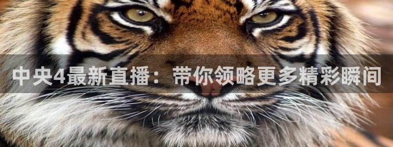 球神直播体育在线观看足球：中央4最新直播：带你领略更多精彩瞬间