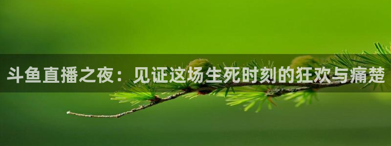 qszb球神直播首页：斗鱼直播之夜：见证这场生死时刻的狂欢与痛楚