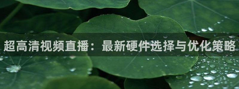 球神体育直播官网：超高清视频直播：最新硬件选择与优化策略