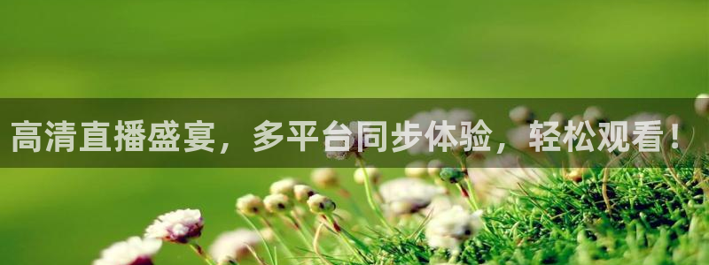nba直播球神直播：高清直播盛宴，多平台同步体验，轻松观看！