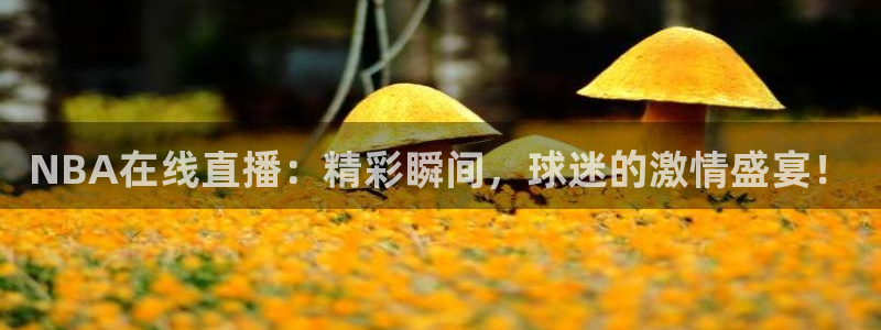 球神直播体育在线观看网址：NBA在线直播：精彩瞬间，球迷的激情盛宴！