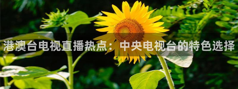 球神直播足球直播在线观看：港澳台电视直播热点：中央电视台的特色选择